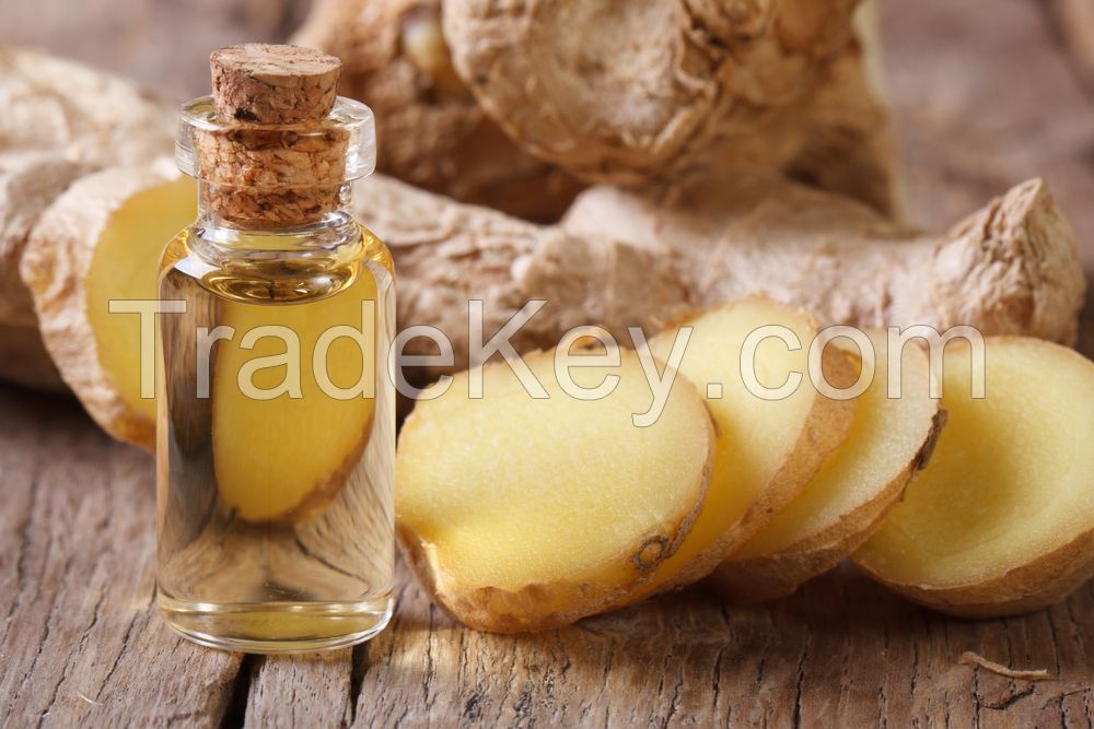 Ginger Oil 100% pure