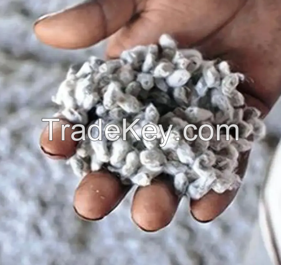 High Quality Whole cotton seed