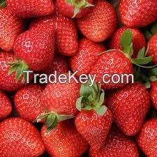 Top Grade Fresh Strawberry