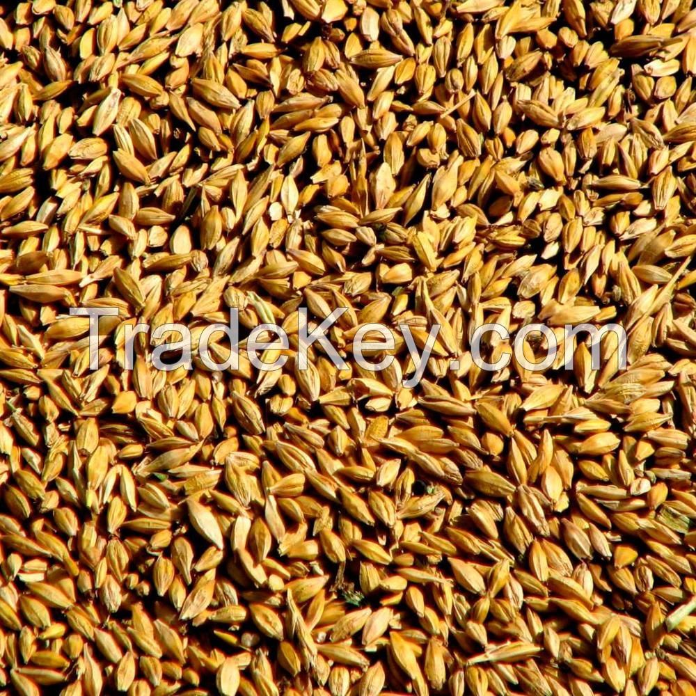 Rye Grain