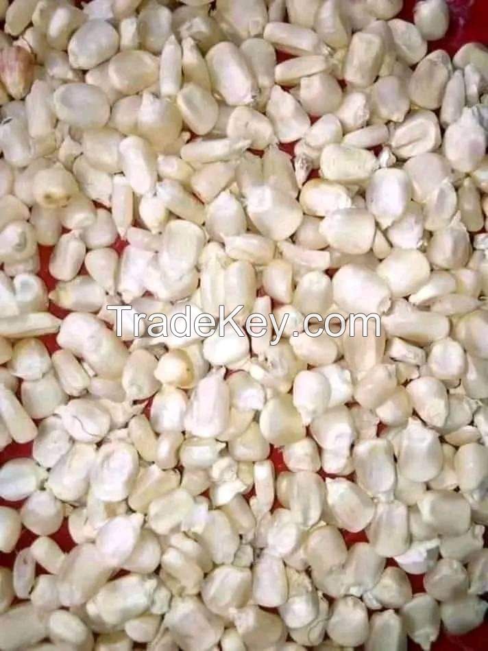 quality white maize