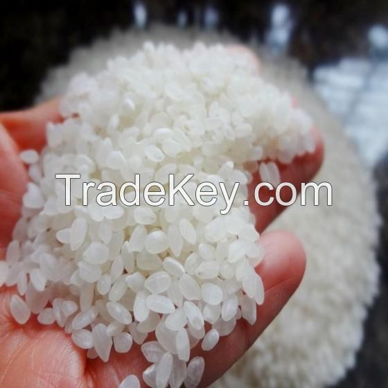 Japonica Round Rice