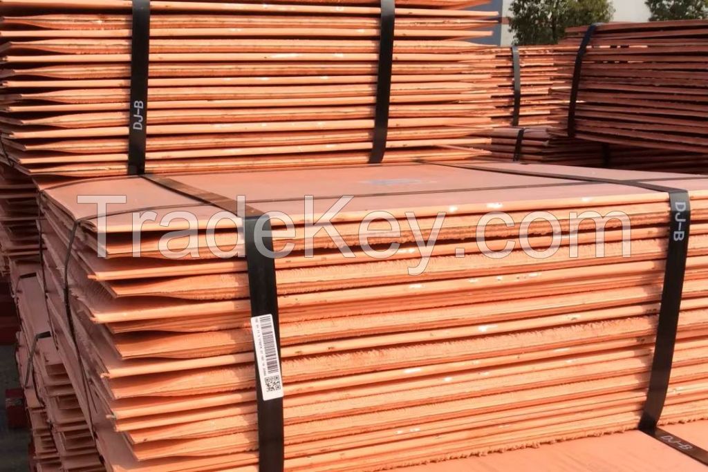 Copper Cathodes