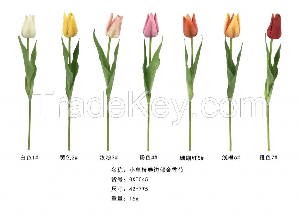 Short Single Stem Edge Curl Tulip Bud