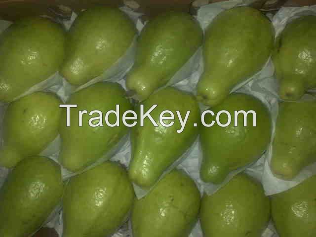 we offer fresh guava