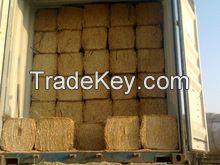 Hay straw bale, animal filler bale, wheat hay bale, straw hay bale, hay bale