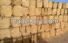 hay straw, animal feeding straw, hay for animal, wheat straw hay, hay straw