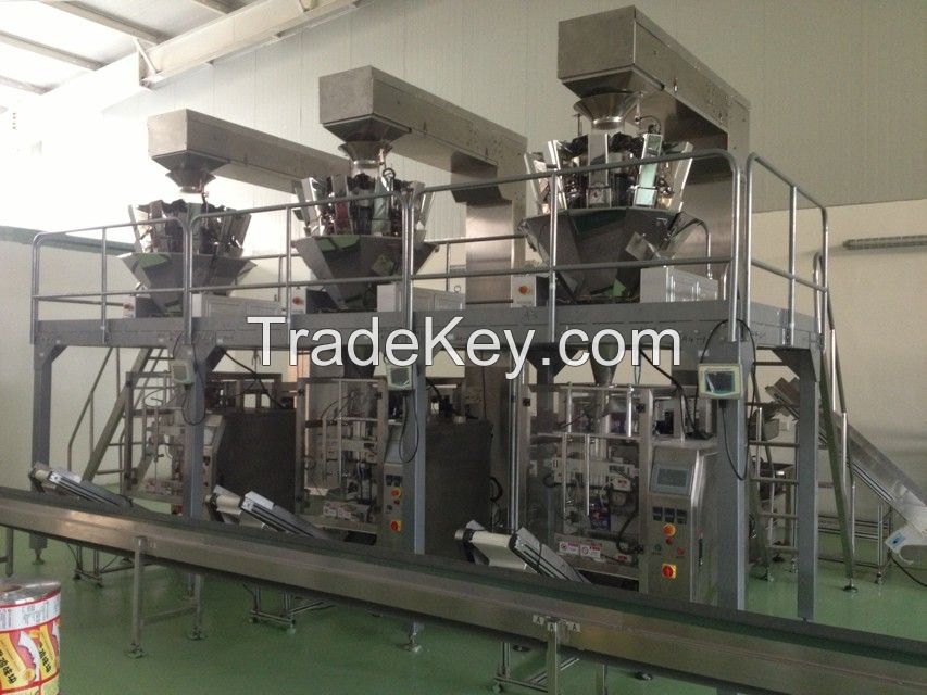 Automatic Salt Packing Cartoning Machine System
