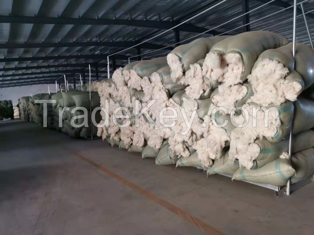 Sheep wool