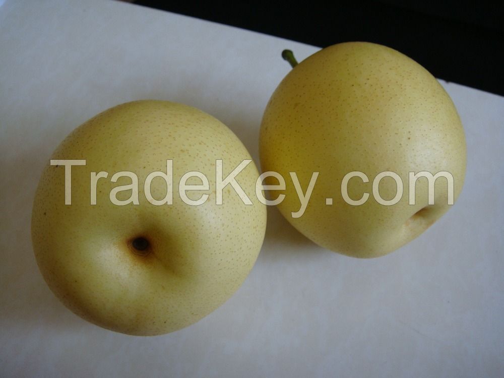 Fresh Golden Crown Pear