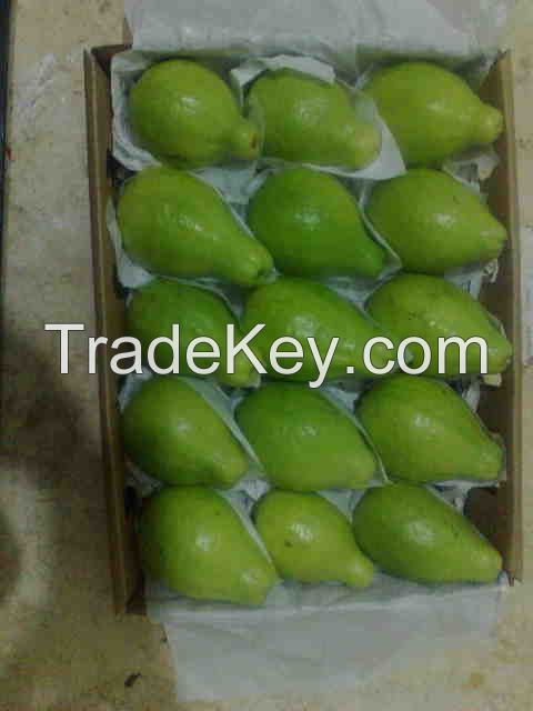 we offer fresh guava