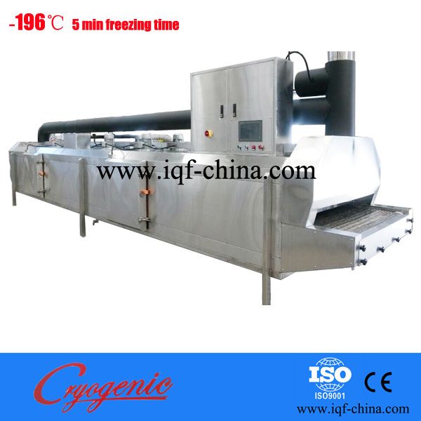 tunnel quick freezing equipment   SD-1000 kg/ hour