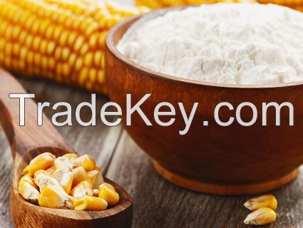 native corn starch/maize starch price in bulk for sale