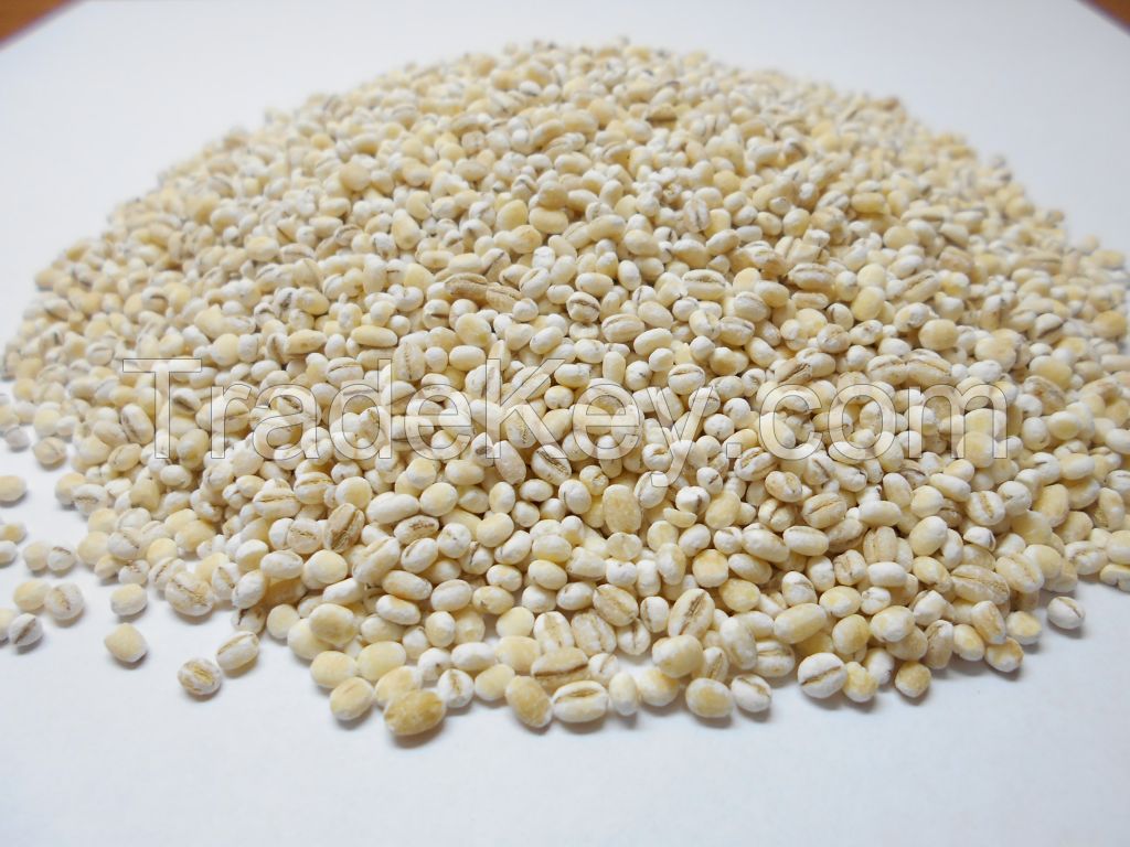 pearl barley