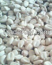 Sell White Non GMO Maize