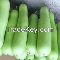 Fresh Bottle Gourd for sale