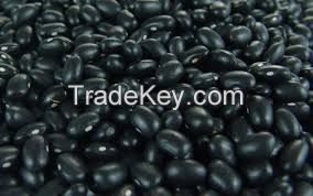 Black Kidney Beans