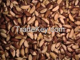 Brazil Nuts