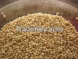 Millet