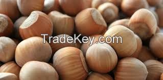 Hazelnuts