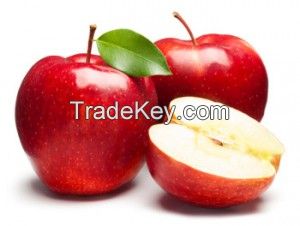 Wholesale price apple fruit from South Africa/Fresh Apples