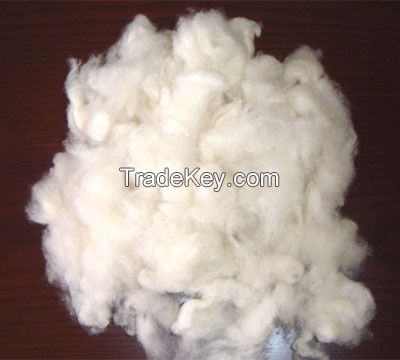 mongolia white cashmere, mongolia green velvet, mongolia pure cashmere