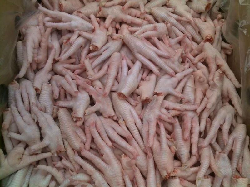 BEST QUALITY HALAL FROZEN CHICKEN FEET AND PAWS FOR SALE