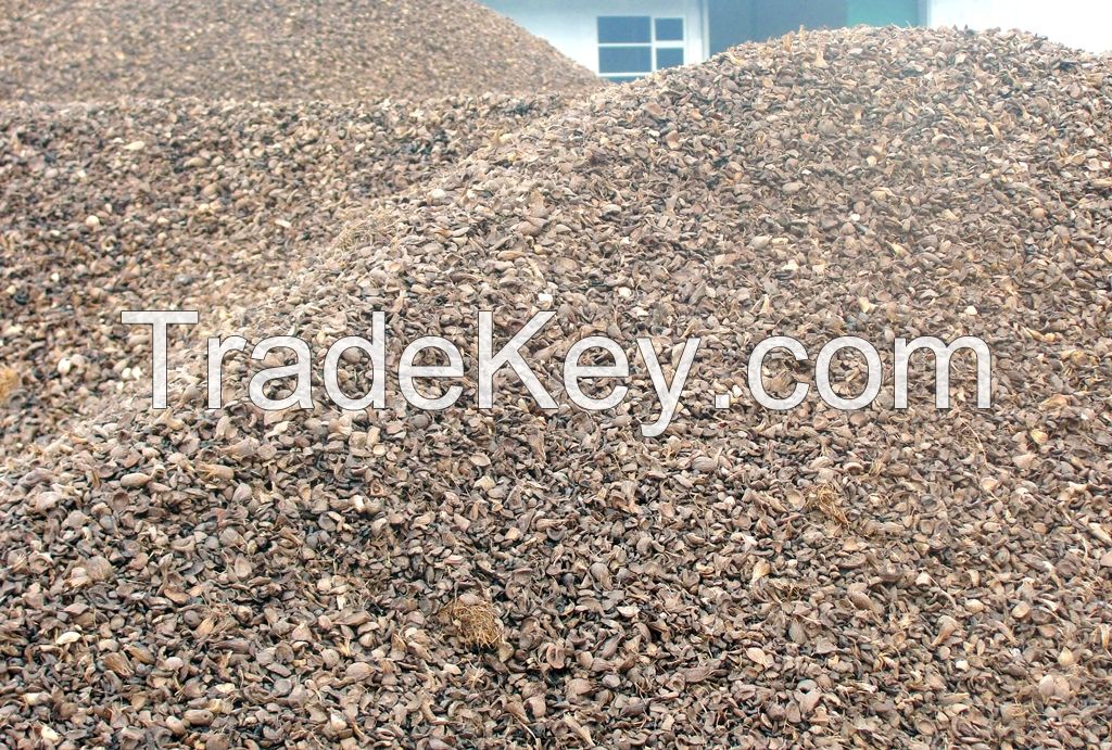 Palm Kernel Shells Offer