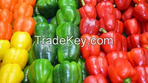 fresh capsicum