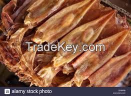 Dry Cuttlefish