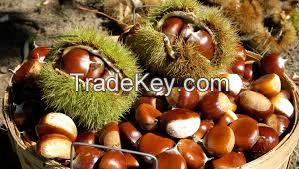 Chestnuts