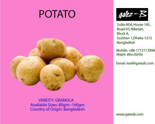 Fresh Potato Offer New Season