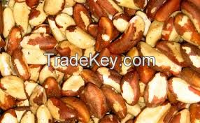 Brazil Nuts