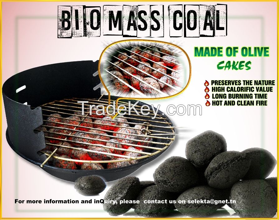 Sell Biomass Olive Briquette Coal