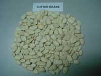 BUTTER BEANS