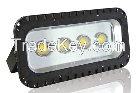 LED explosion-proof floodlight (QC-FB008-B)