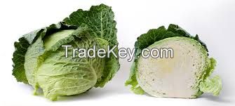 AD Cabbage