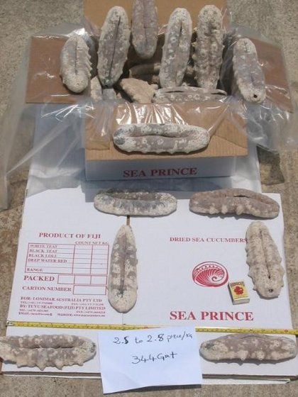 Dried Sea Cucumber