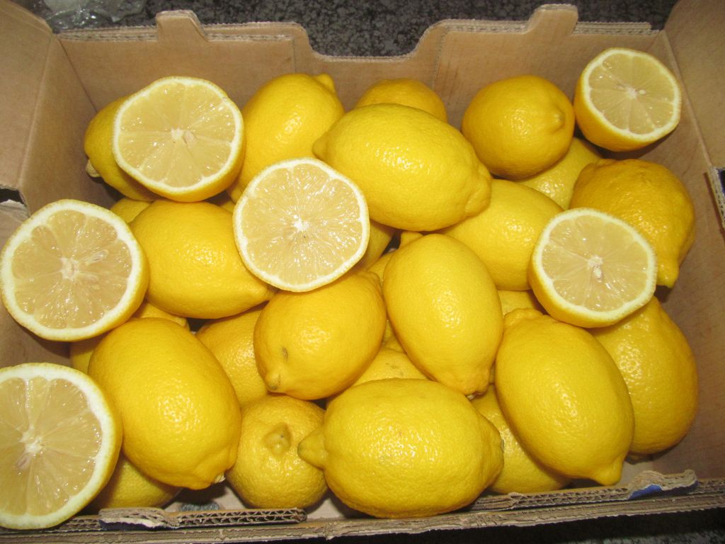 FRESH EUREKA LEMON