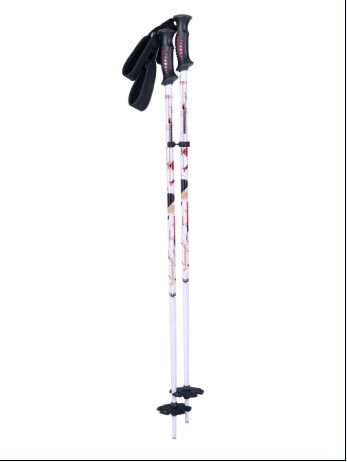 6061 ski pole