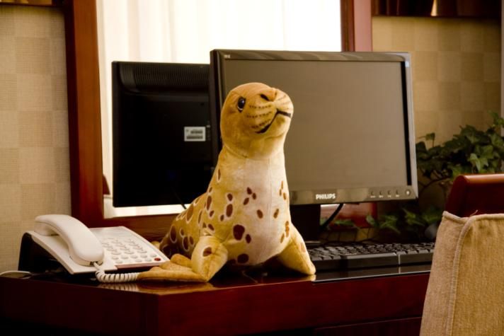 Seals plush toy