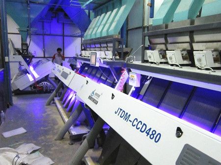 Cereal choose with color sorter made from Anhui China