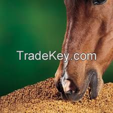 HORSE FEED