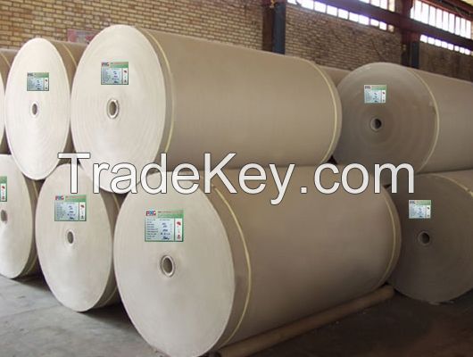 DUPLEX PAPER/PRINTING PAPER