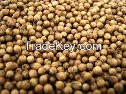 Coriander seeds