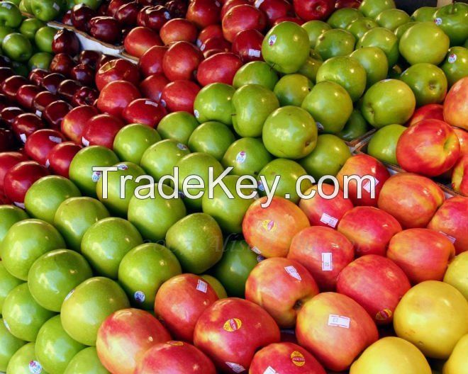 apple fruit apple price red apple factory huaniu apple mature apple price