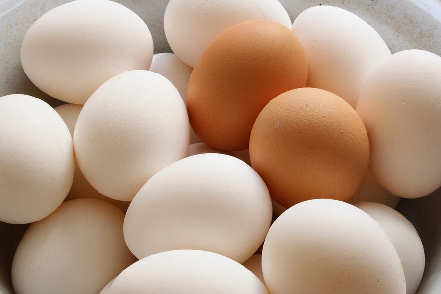 Fresh Brown and White Eggs From Turkey