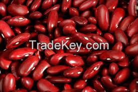 Red Kidney Bean