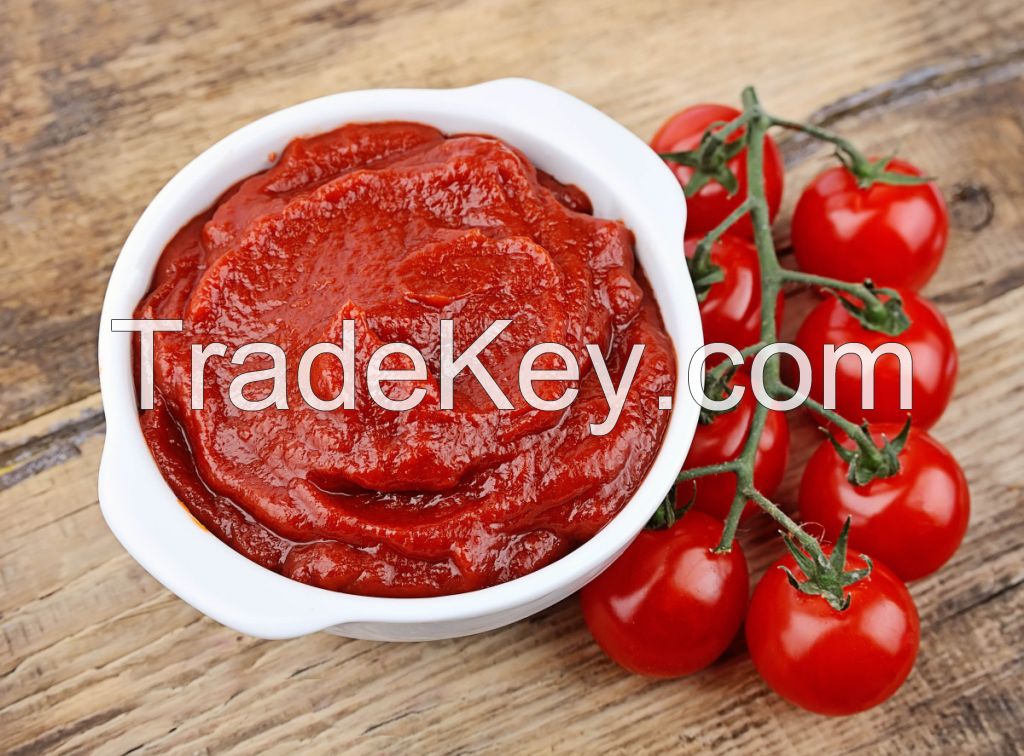 Tomato Paste