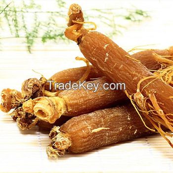 Organic red ginseng products / fermented red ginseng